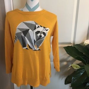 Raccoon Sweater